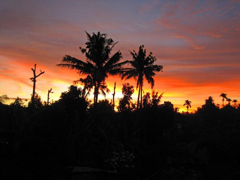 Nyoman Murjana Homestay Ubud  Ngoại thất bức ảnh